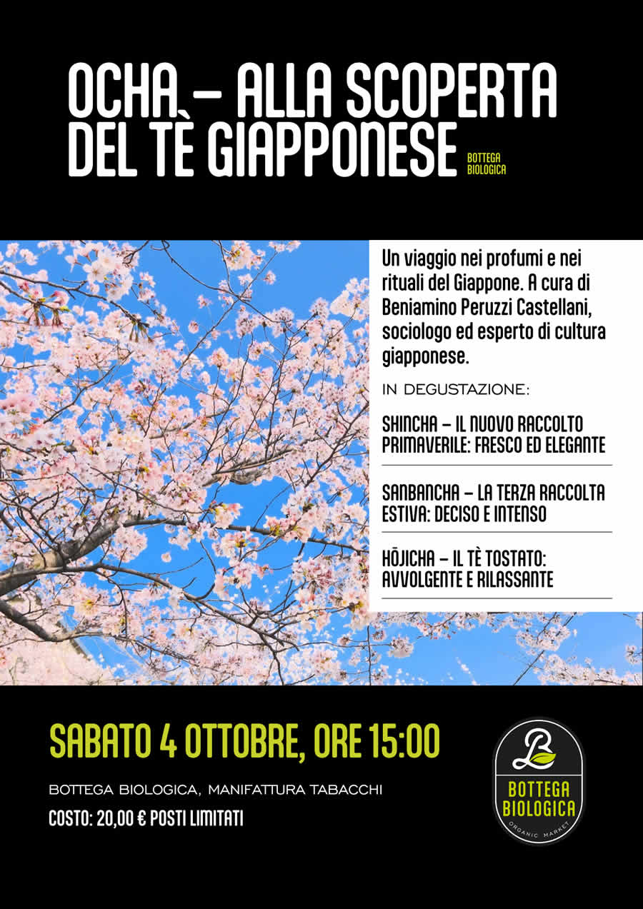 ocha un tè tradizionale di altissima qualità